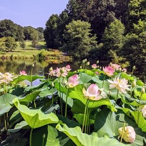 Meet your Posher, Kara